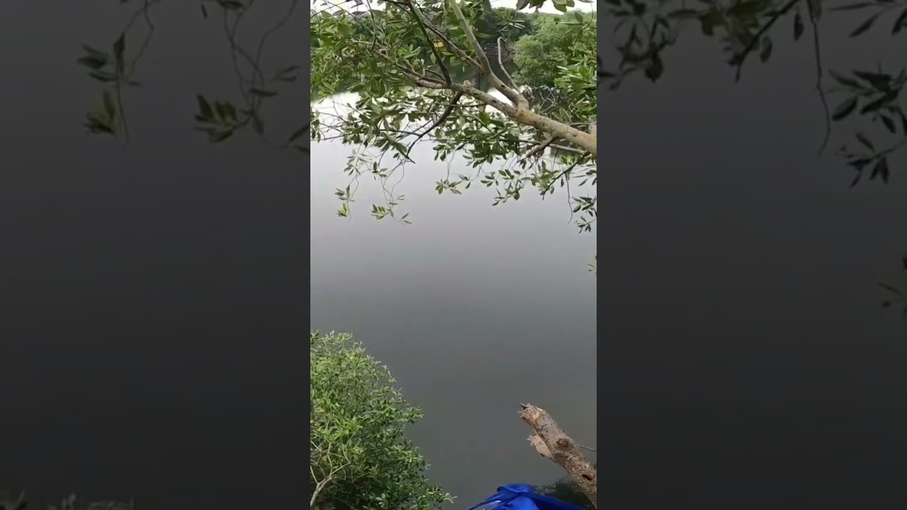 membidik dengan skil jarak jauh