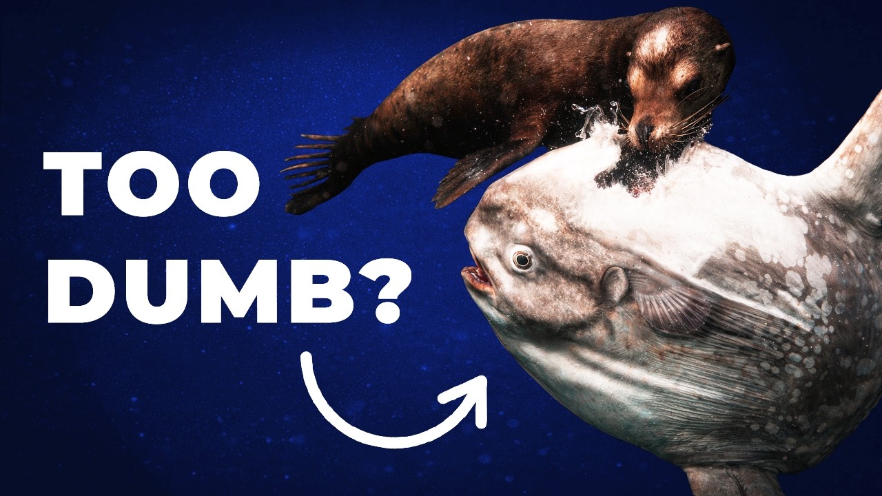 Meet the Dumbest Animal That Ever Lived