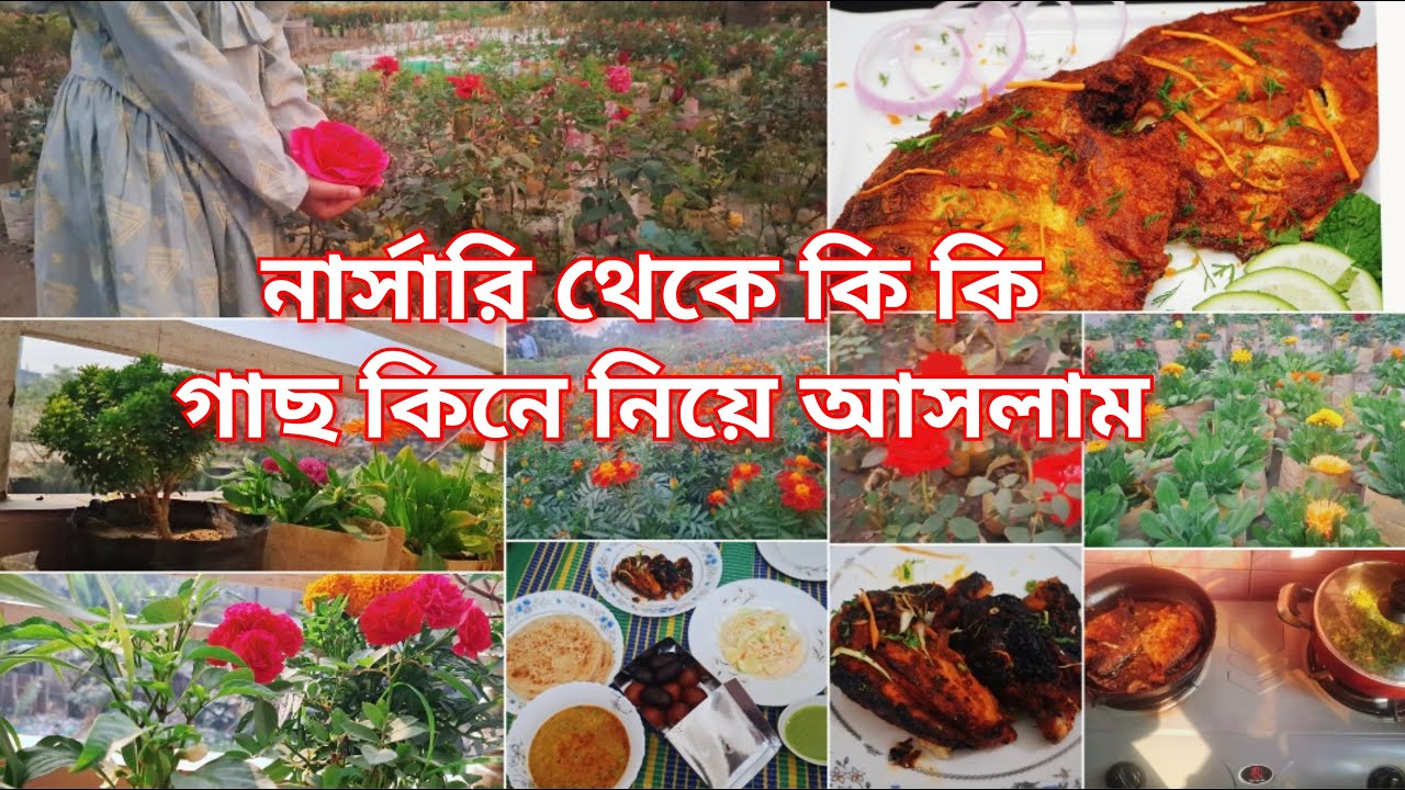 দুপুরের রান্না শেষ করে নার্সারি থেকে কিছু গাছ নিয়ে এসে বারান্দায় নতুন করে সাজিয়ে নিলাম ||