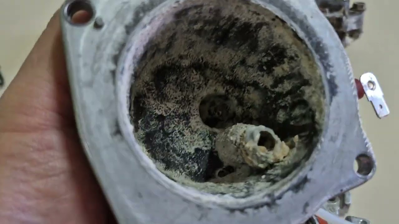 Calcificação da caldeira Máquina de café 