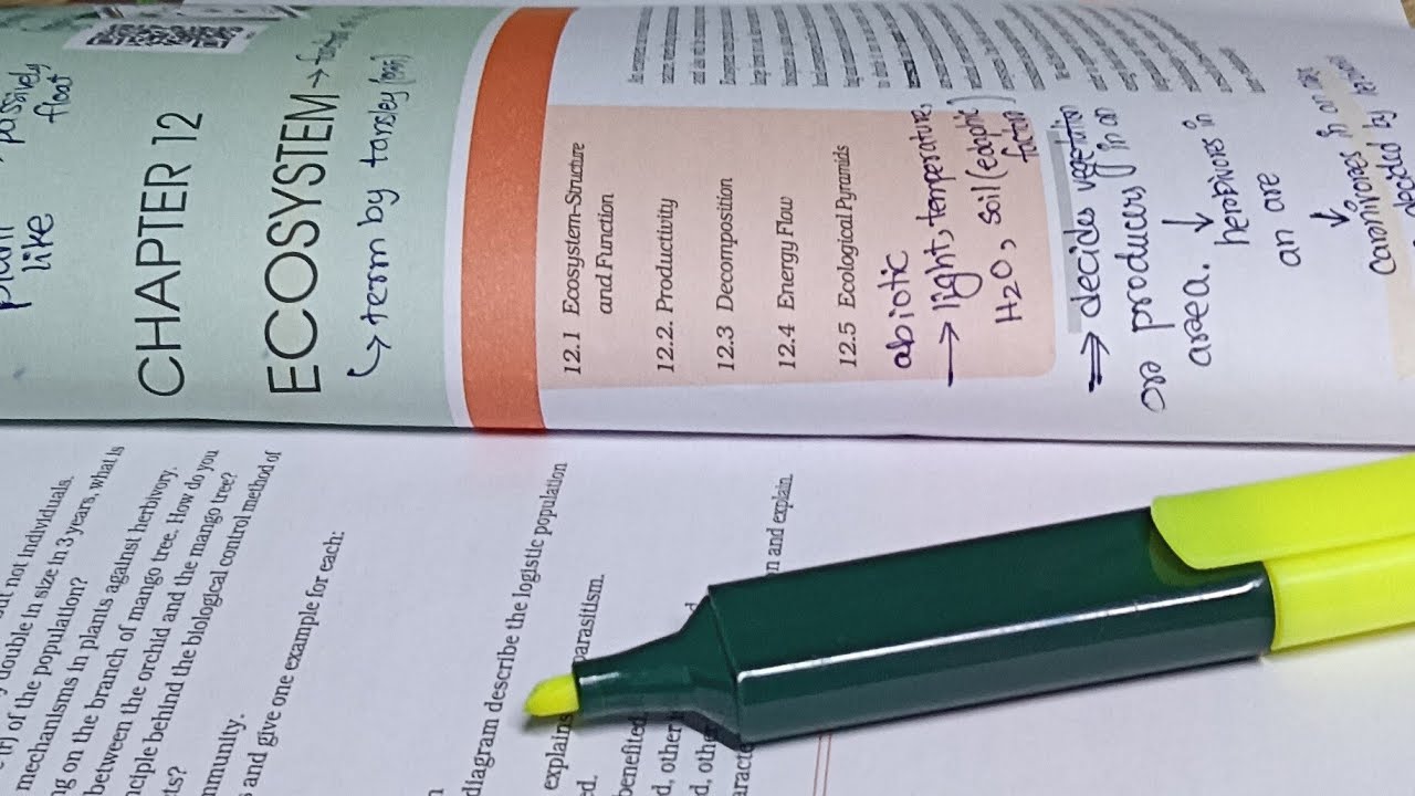 STUDY WITH ME for NEET 2026