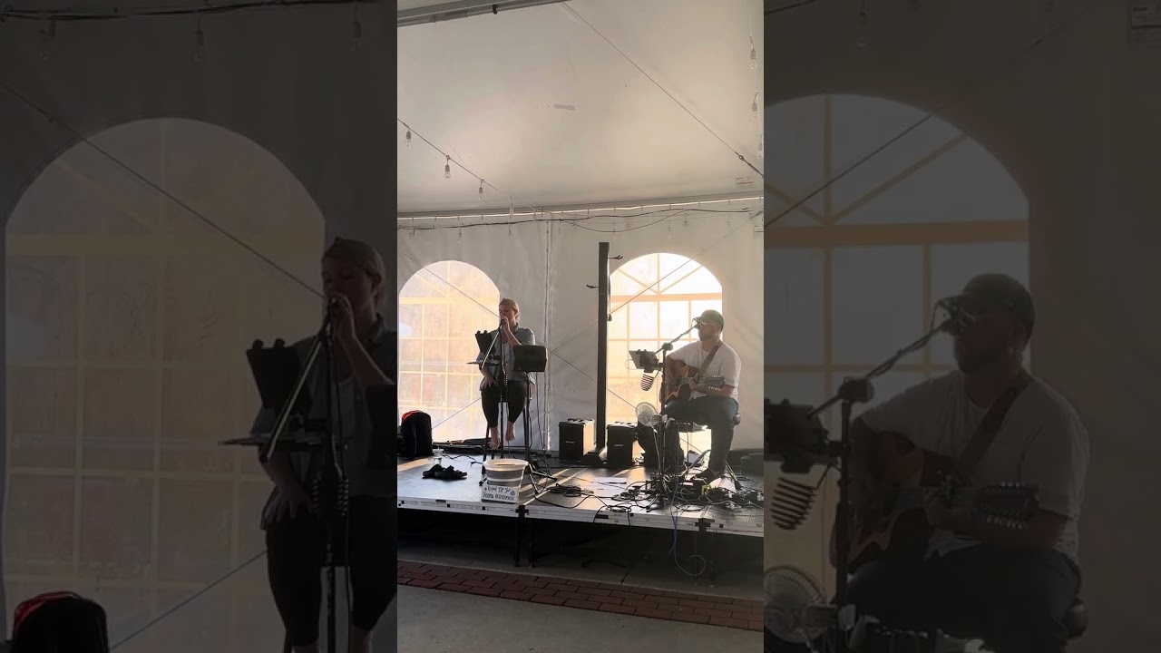 Shelagh Rose- Northern Attitude Cover