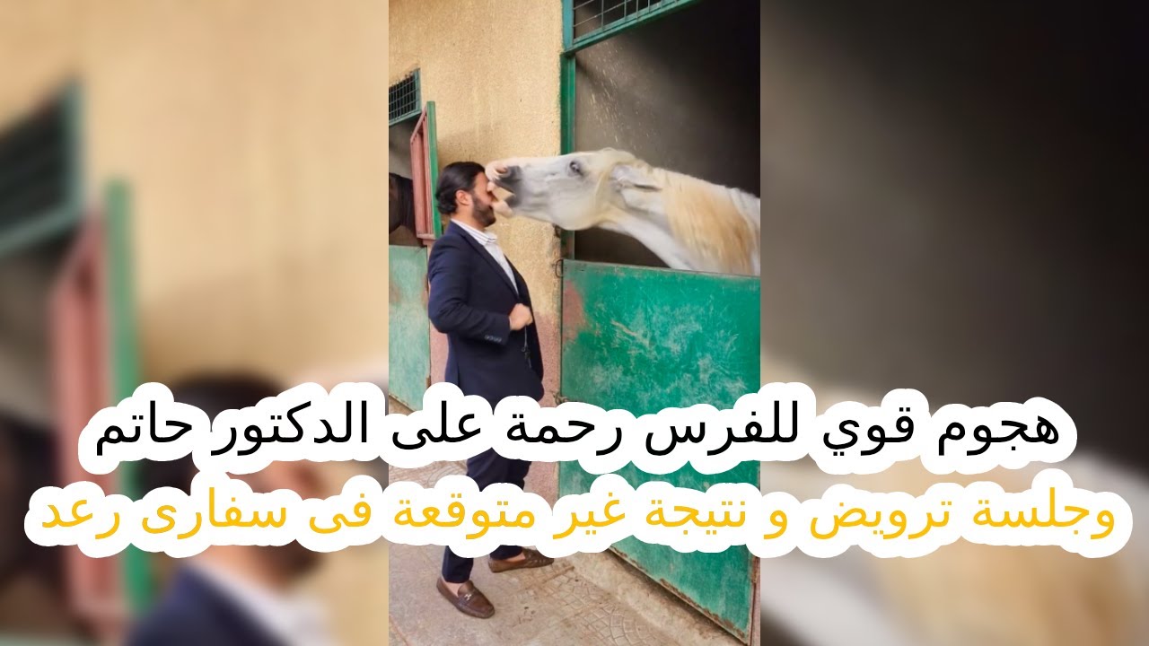 هج.وم قوي للفرس رحمة على الدكتور حاتم وجلسة ترويض و نتيجة غير متوقعة فى سفارى رعد