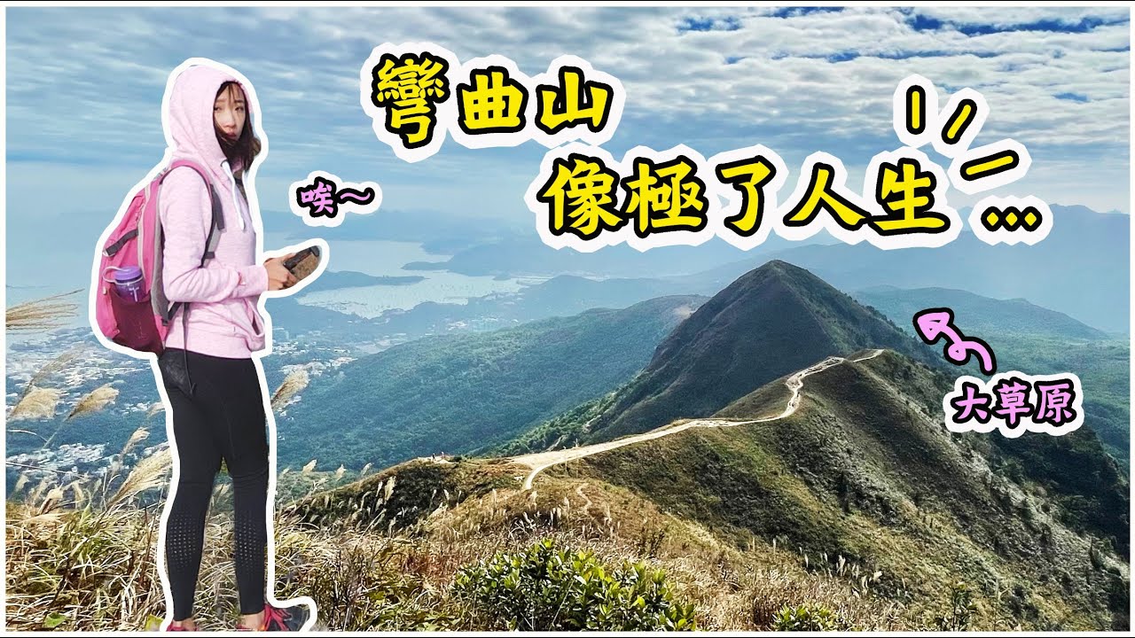 【別錯過！】麥理浩徑秘景彎曲山超美｜水浪窩觀星台有段故｜嵐山竹林 大金鐘 昂平草原