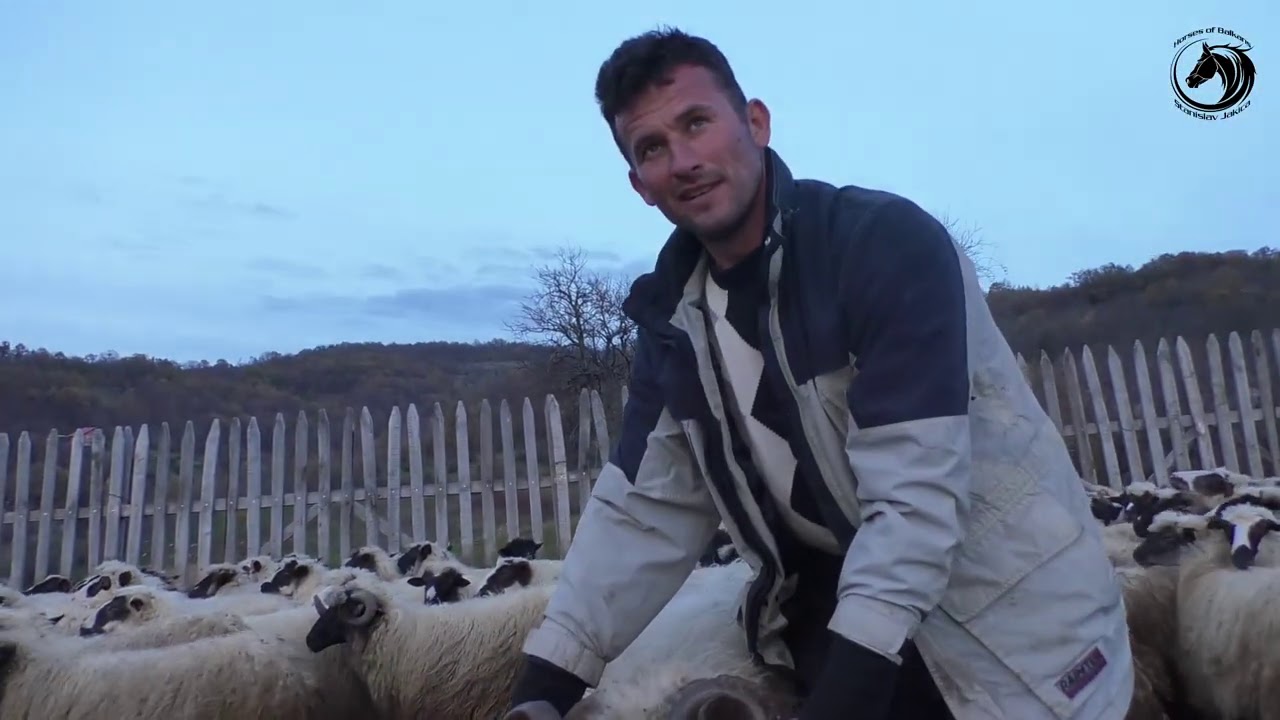 -Medvjed  usmrtio 14 .ovaca Dušanu Kovjeniću  pod Čemernicom -