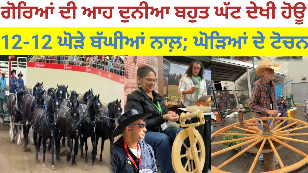 ਘੋੜਿਆਂ ਦੇ ਟੋਚਨ;12-12 ਘੋੜੇ ਬੱਘੀਆਂ ਤੇ;ਗੋਰਿਆਂ ਦੀ ਆਹ ਦੁਨੀਆ ਘੱਟ ਦੇਖੀ ਹੋਊ|Harbhej Sidhu|Horse|Stampede|