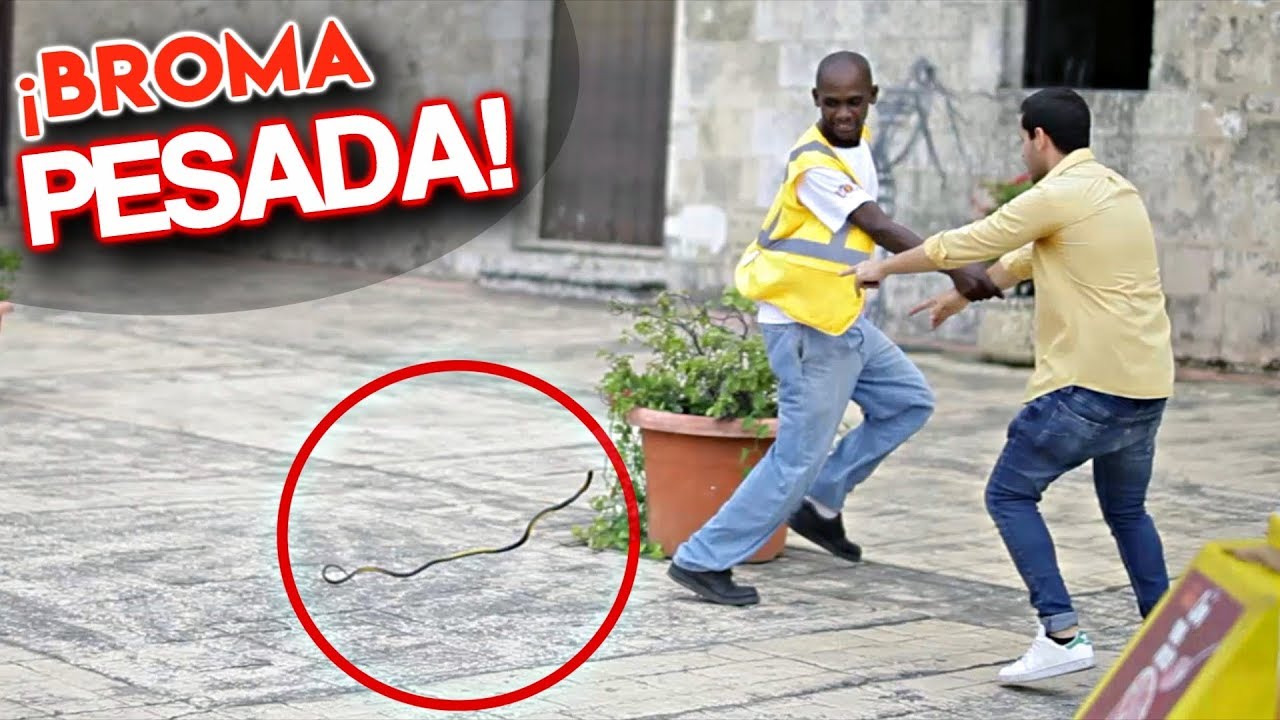 &iexcl;BROMAS pesadas DE LA SERPIENTE en la calle! l Videos Graciosos