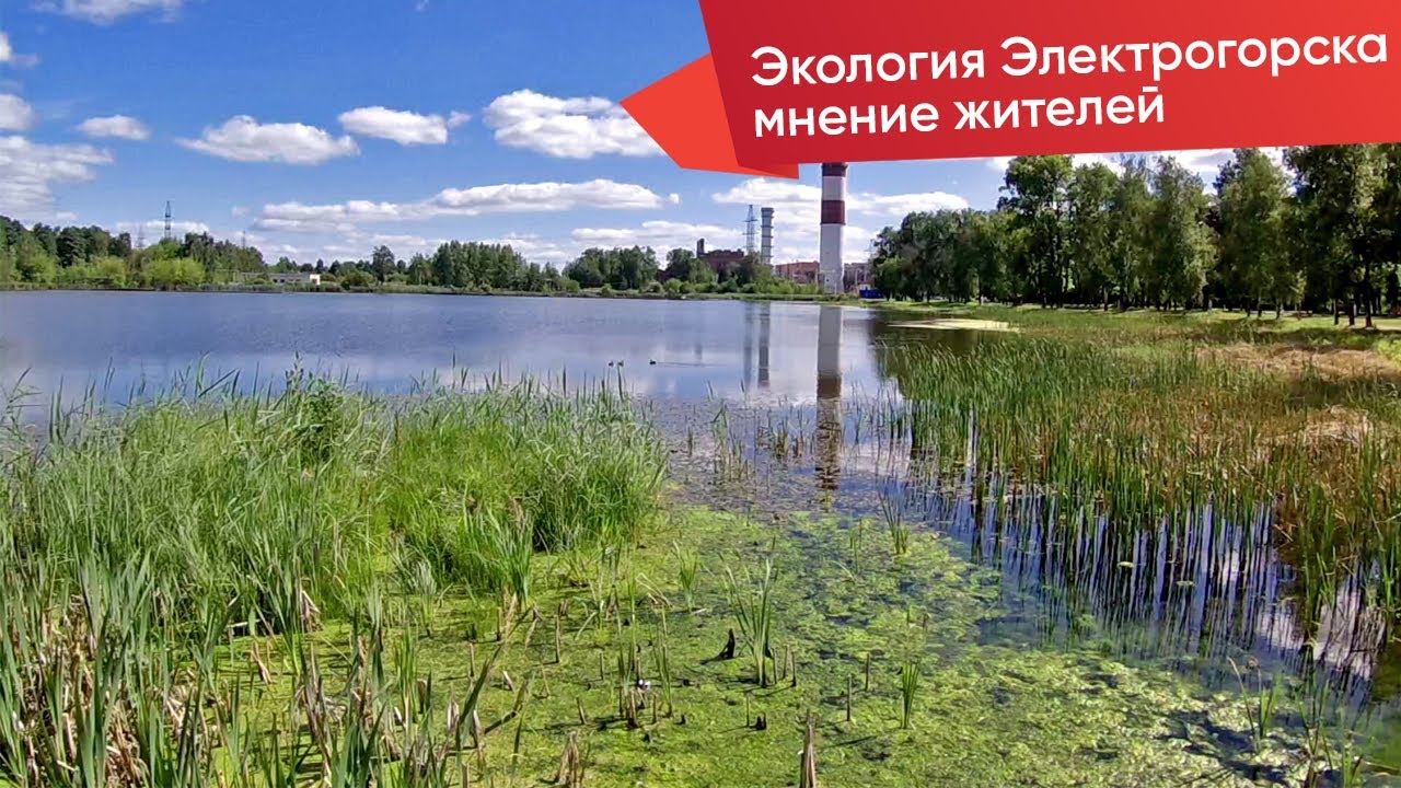 Экология в Электрогорске: Кроношпан, переработка мусора, Ферейн