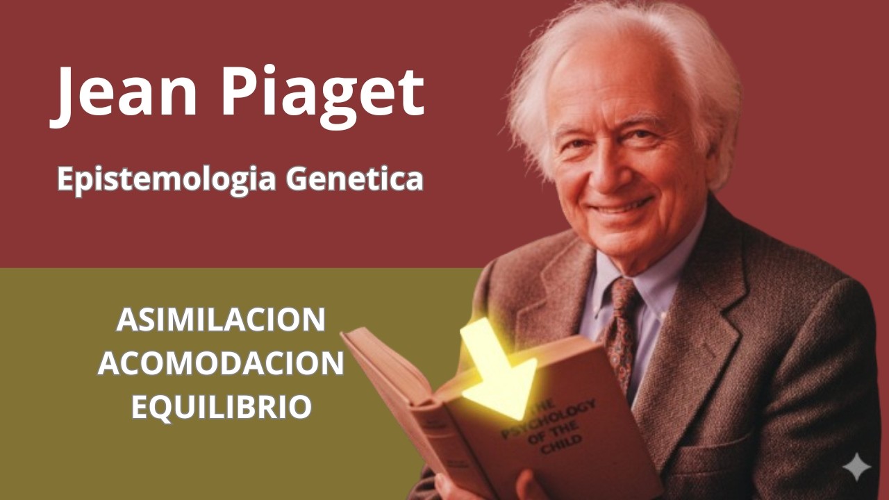 Piaget: Asimilaci&oacute;n, Acomodaci&oacute;n y Equilibrio (Teor&iacute;a Explicada en 4 minutos)