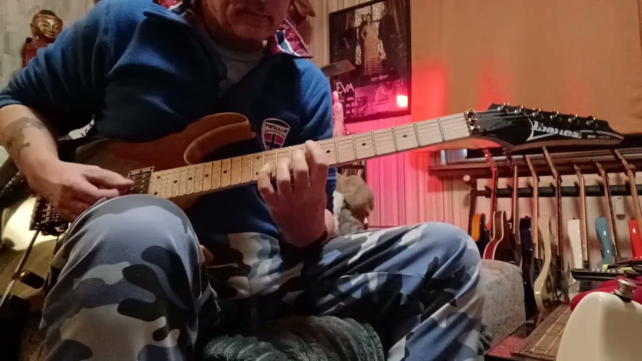 You Me At Six - Carpe Diem * Guitar Cover ( Slicer & Delay ☝️)