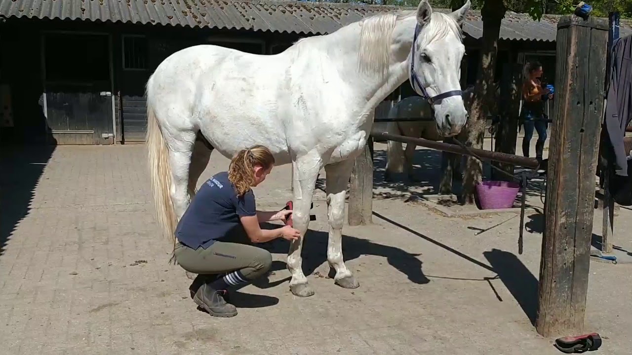 Stal Mansour E-cursus - Peesbeschermers en Strijklappen