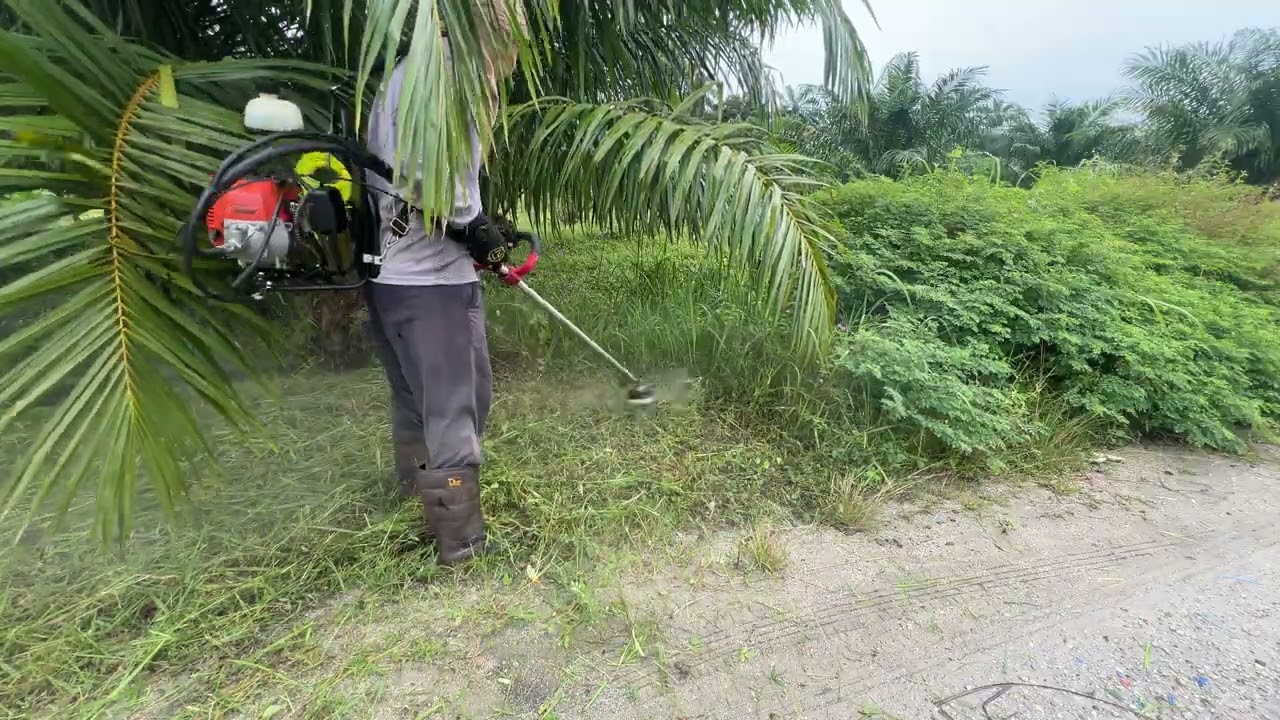 Macam ini la saya.