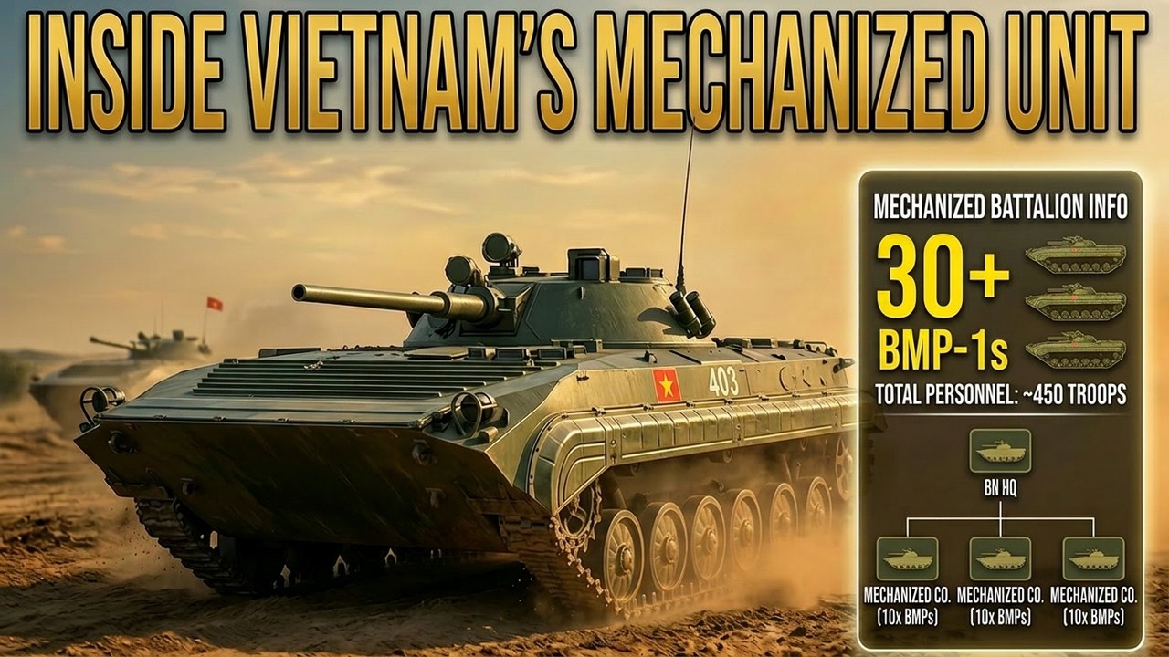 How Vietnam's Mechanized Infantry Units are Organized & Equipped?