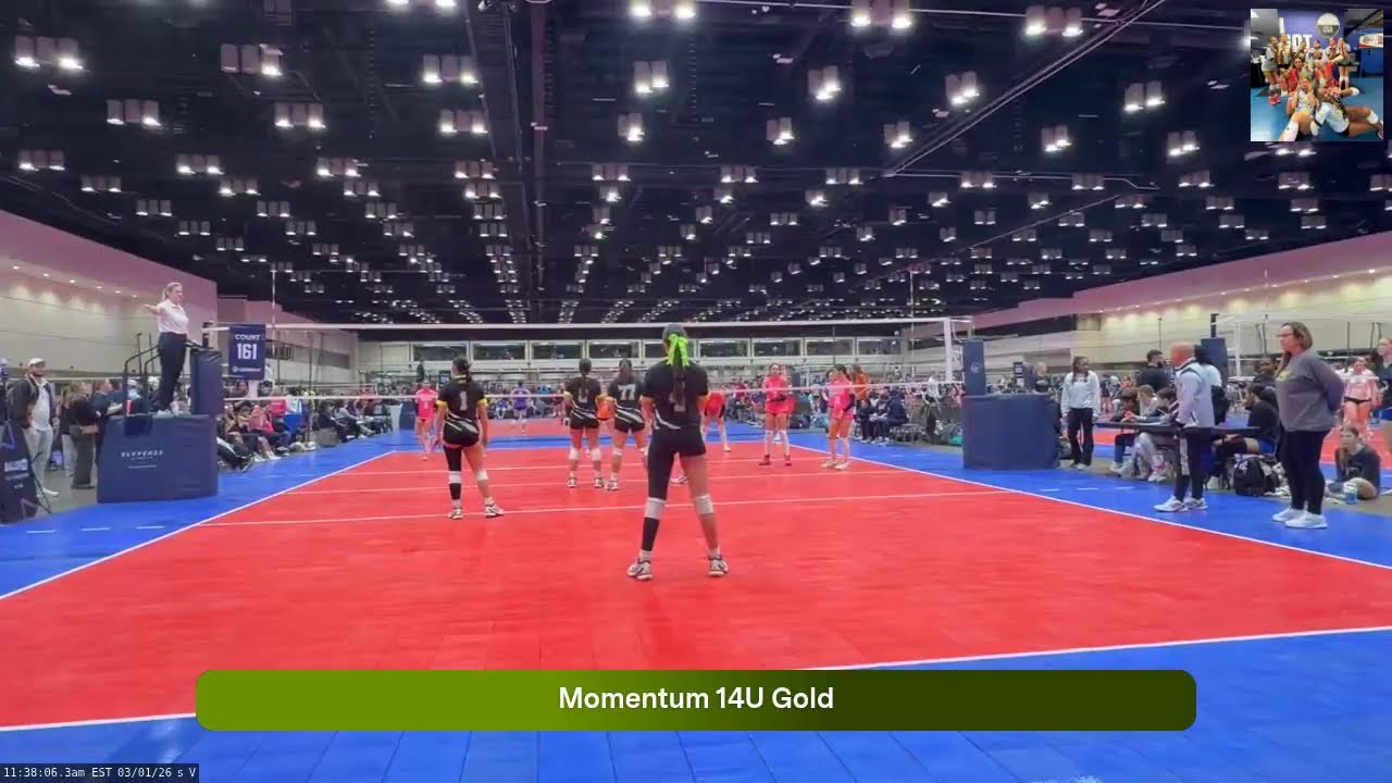Momentum 14U Gold (2026.03.01)