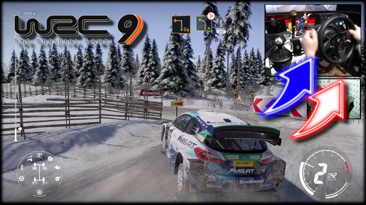WRC 9 Ford Fiesta WRC Sweden Snow / Thrustmaster T300RS
