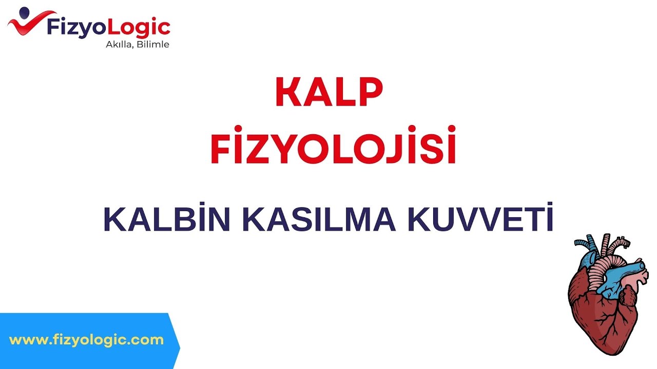 Fizyologic Kalp Fizyolojisi / Kalbin Kasılma Kuvveti
