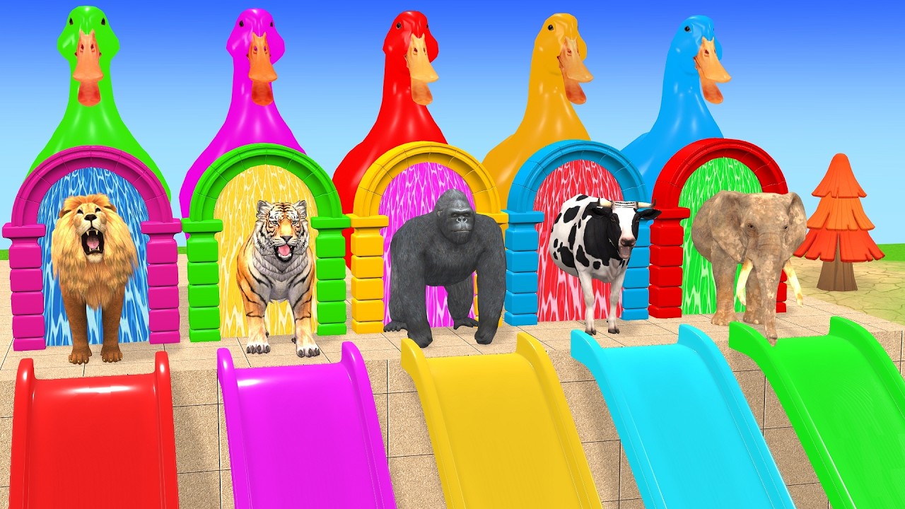 Long Slide Game With Cow Elephant Gorilla Hippopotamus Tiger 3d Animal Game Funny 3d AnimalsVideo