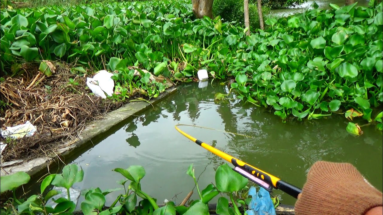 Ngeri...Mancing di samping jembatan pinggir jalan penghuninya ikan besar besar