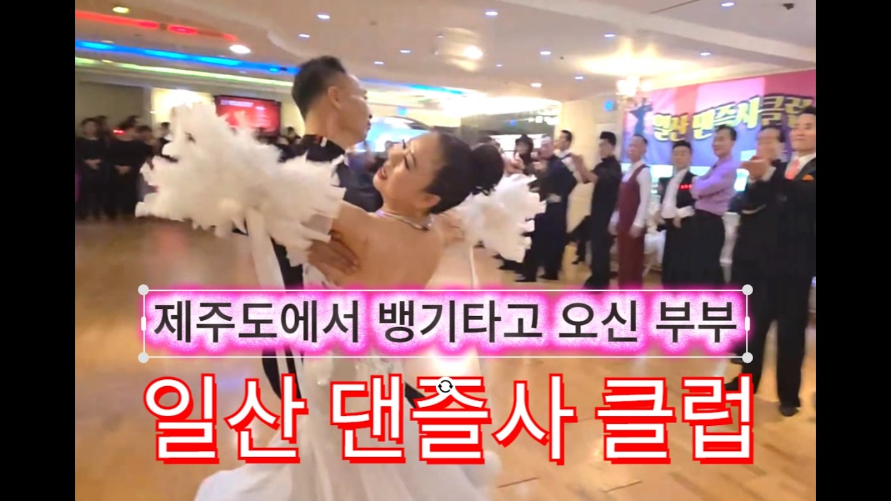 제주도에서 오신 부부 💗일산 댄즐사 파티 리딩댄스