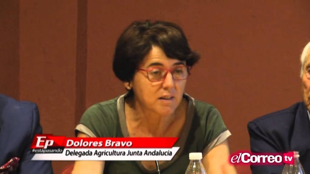 Presentación Pará en Gines 2015 - 01/10/15