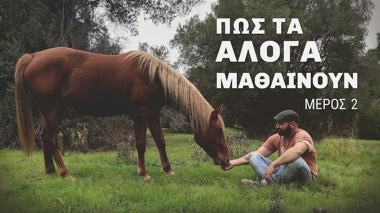 ΘΕΩΡΙΑ ΤΗΣ ΜΑΘΗΣΗΣ ΙΙ