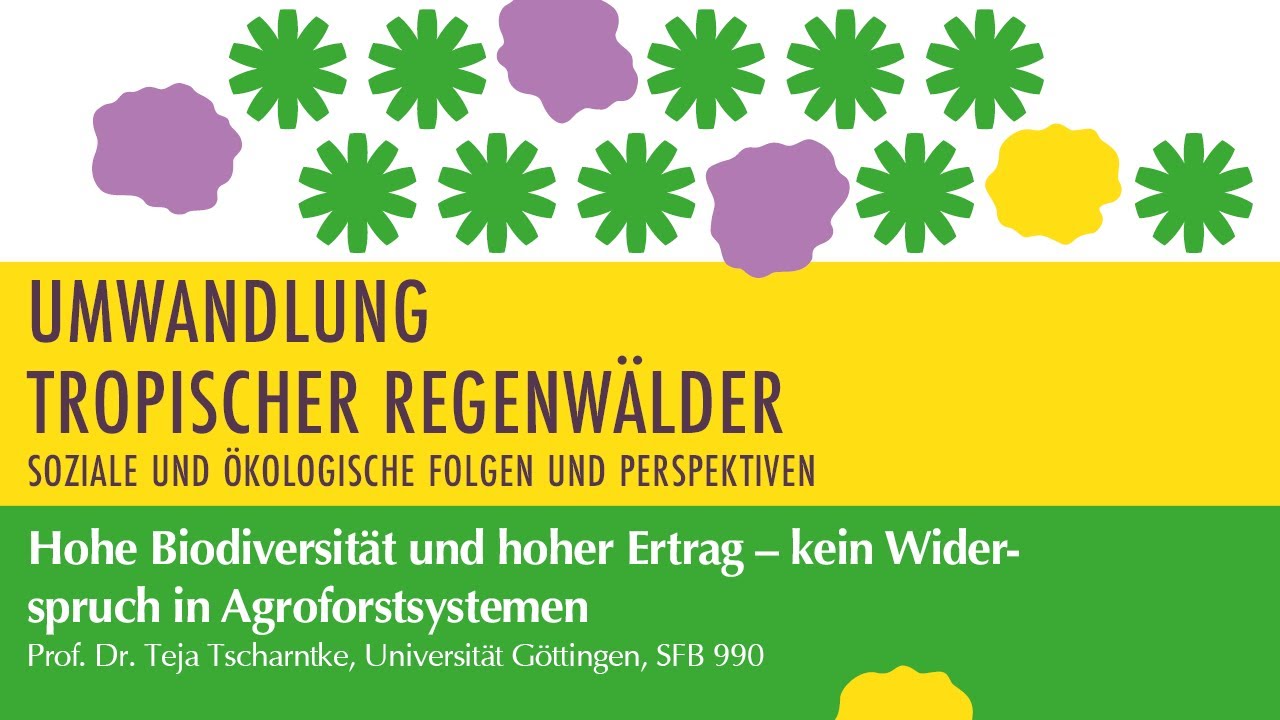 Hohe Biodiversit&auml;t und hoher Ertrag: kein Widerspruch in Agroforstsystemen