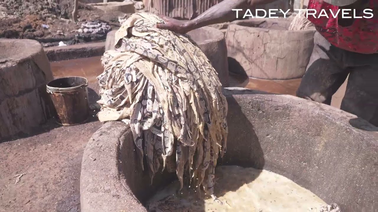 Kano’s ANCIENT LEATHER MARKET | SNAKES , CROCODILES, PYTHONS & COW DUMPS | Nigeria travel guide
