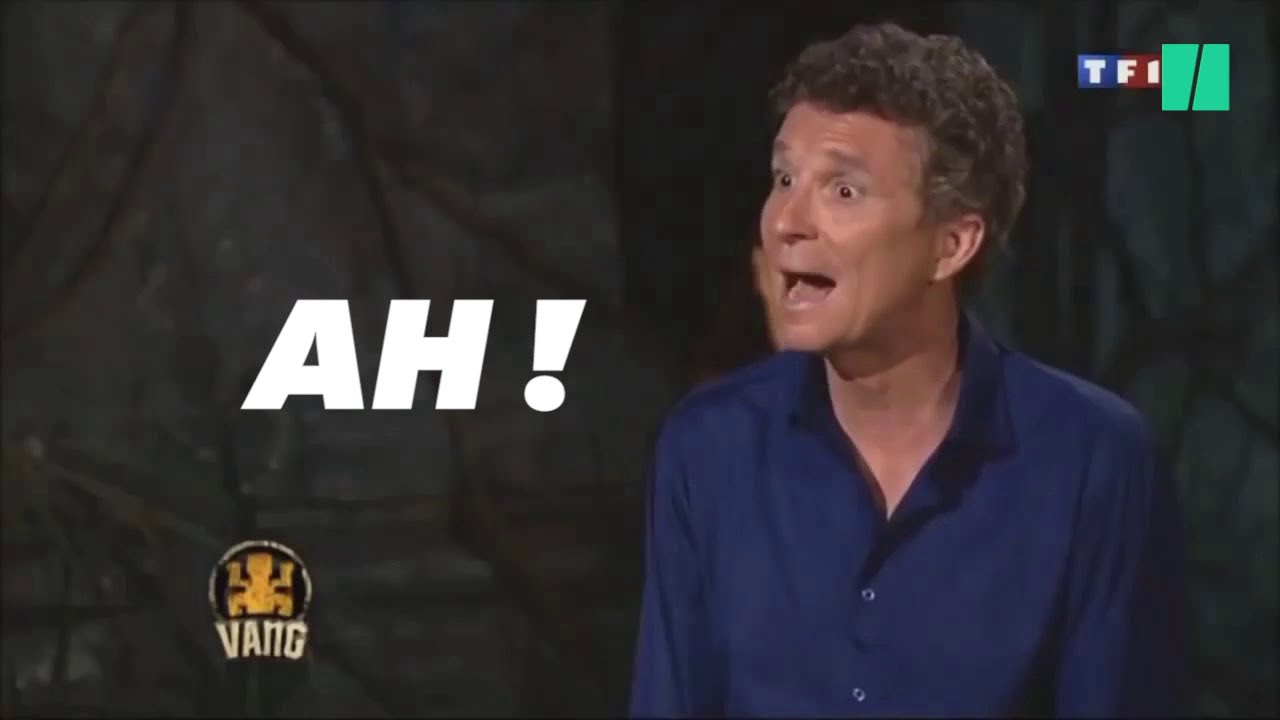 On a demandé à Denis Brogniart ce qu'il pensait de son meme