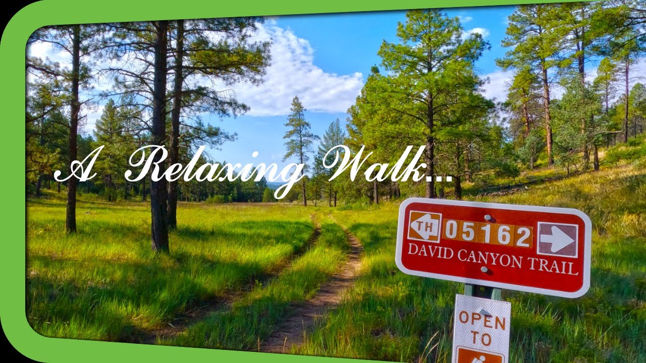 A Relaxing Walk on David Canyon Trail | Tijeras, NM