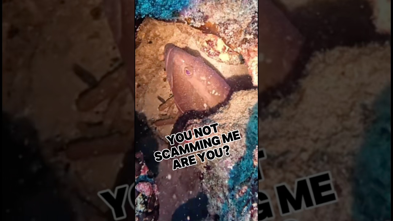 Нет ничего более неприятного, чем когда ваше доверие подорвано ужасным человеком!