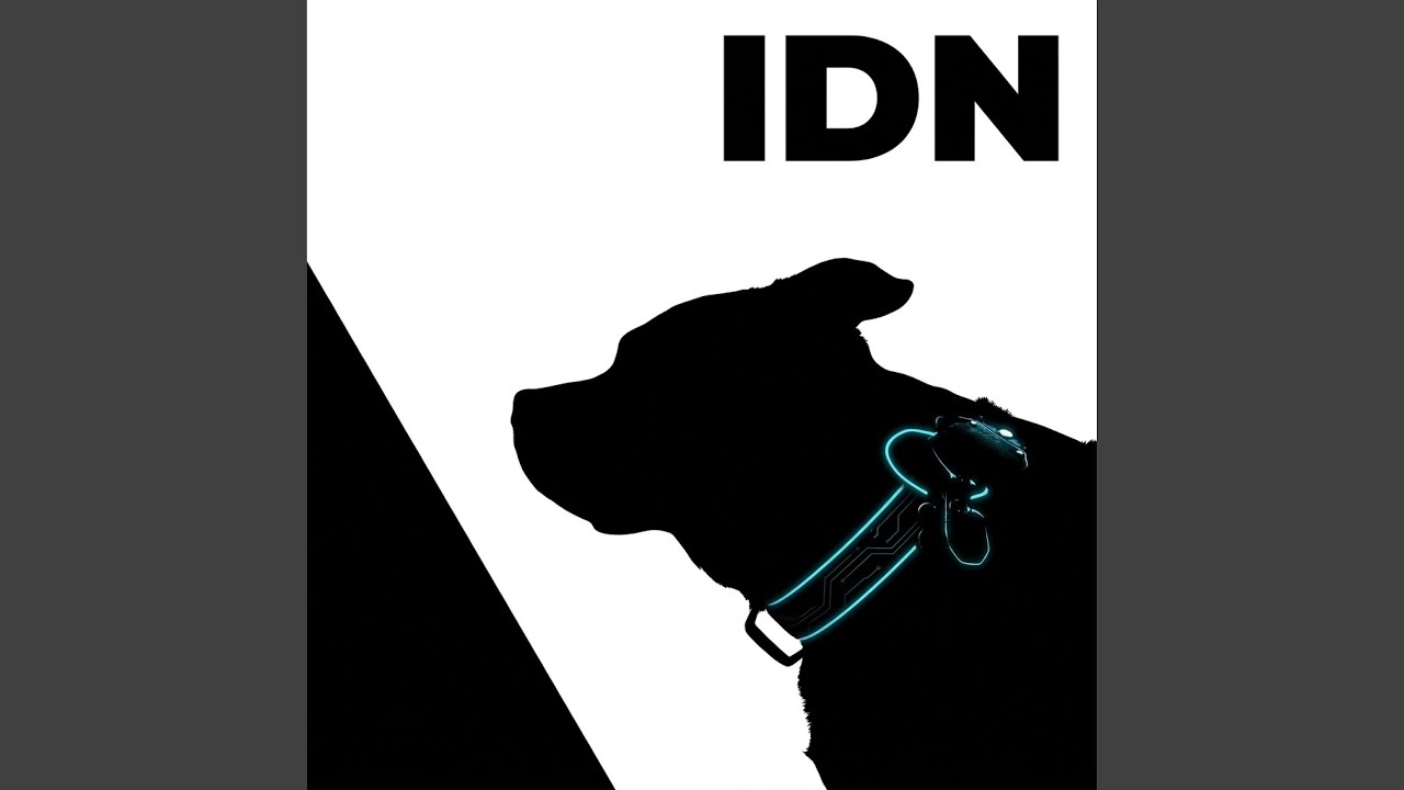 IDN