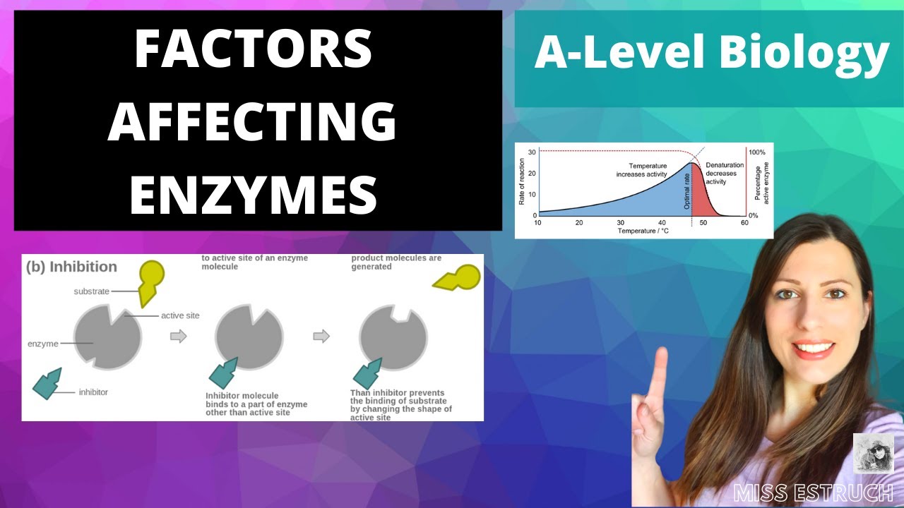 Factors Affecting Enzymes: THIS IS AN OLD VIDEO.  SEE DESCRIPTION FOR NEW VERSION TO WATCH!!!