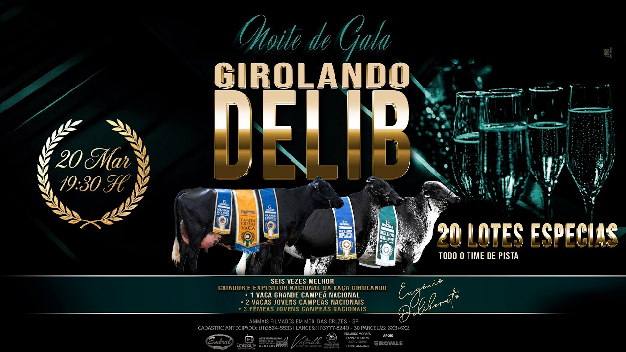 LEILÃO NOITE DE GALA DELIB | GADO GIROLANDO