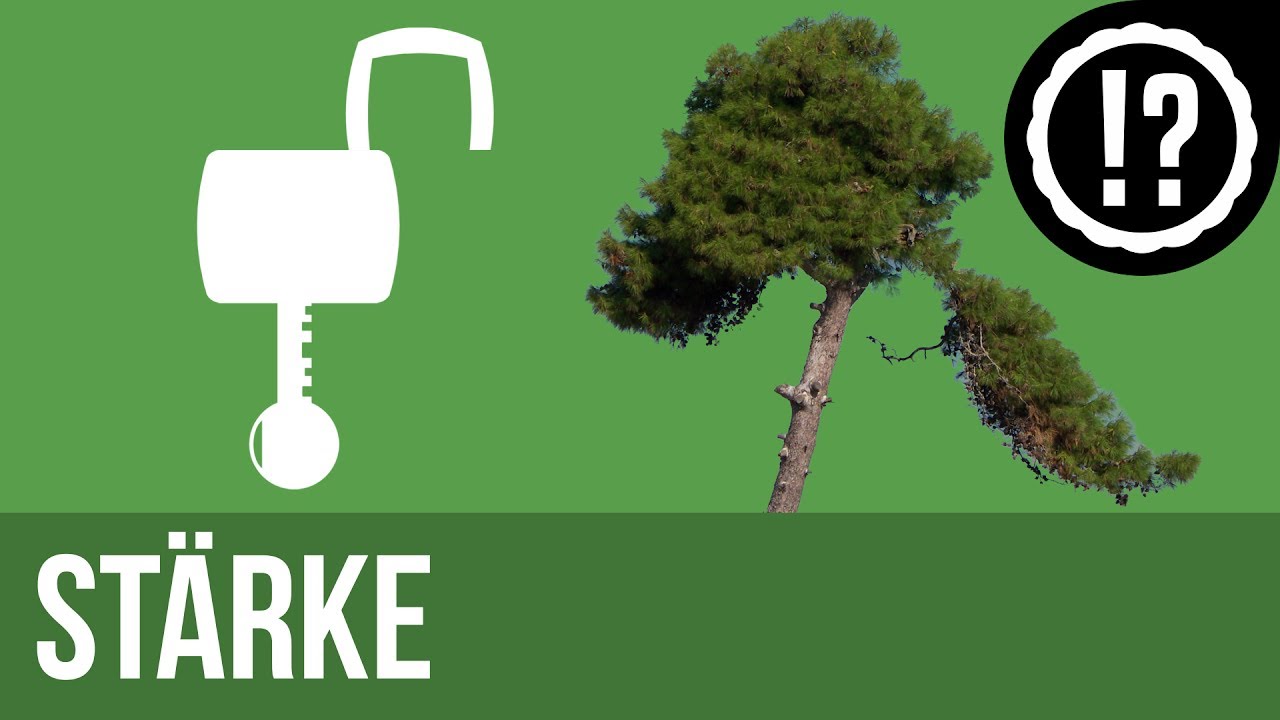 St&auml;rke einfach erkl&auml;rt