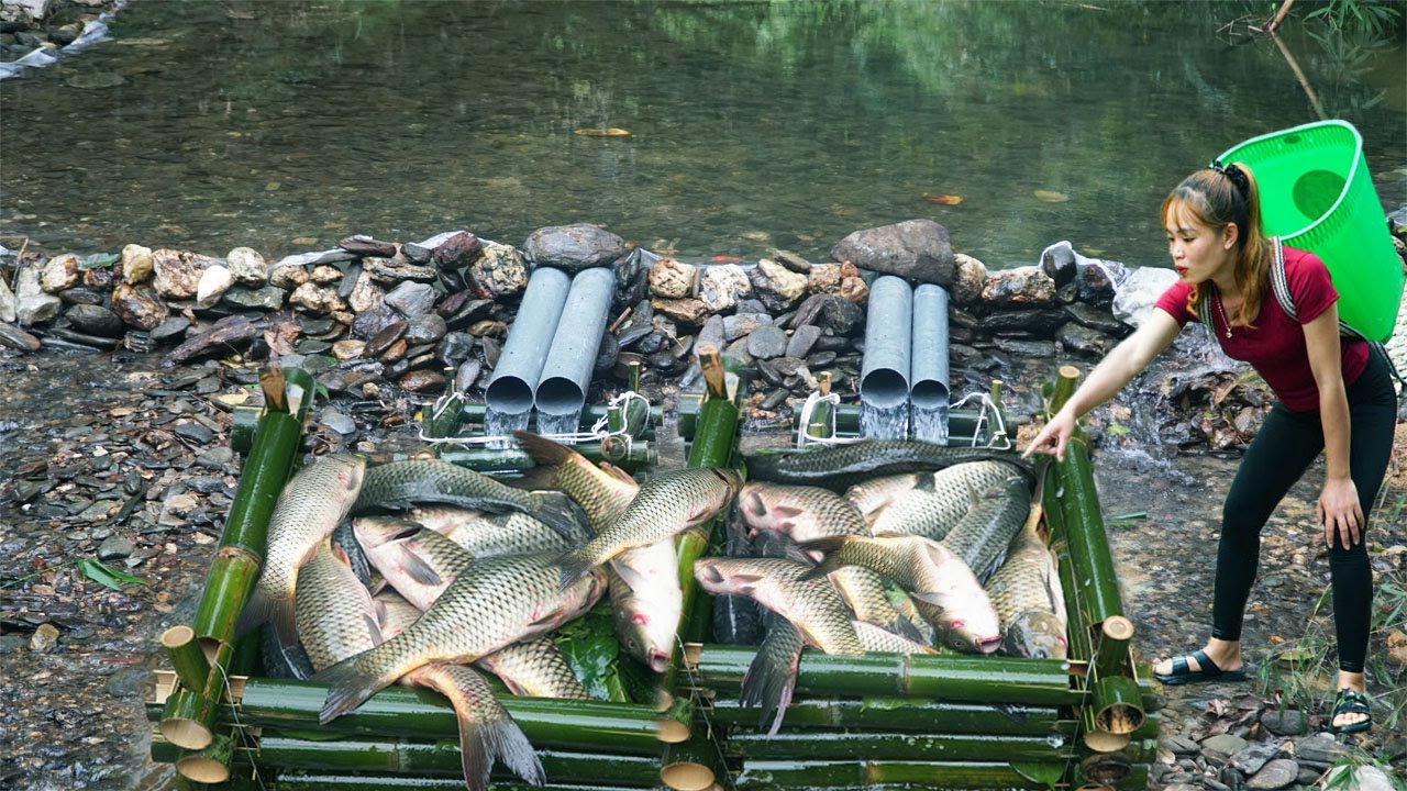 Technique Trapping Fish Amazing Of Young Girl's / Use PC tube To Trap Fish