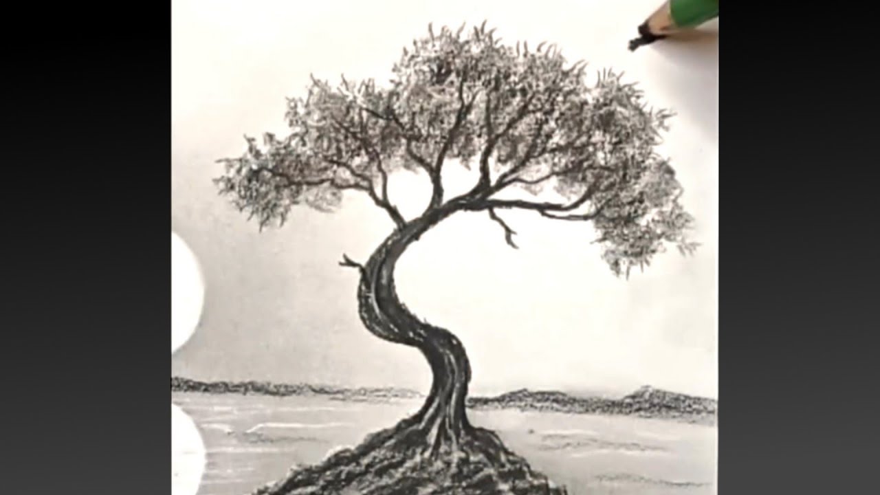COMO DESENHAR ÁRVORE COM TRONCO RETORCIDO | Desenho de Paisagem Passo a Passo