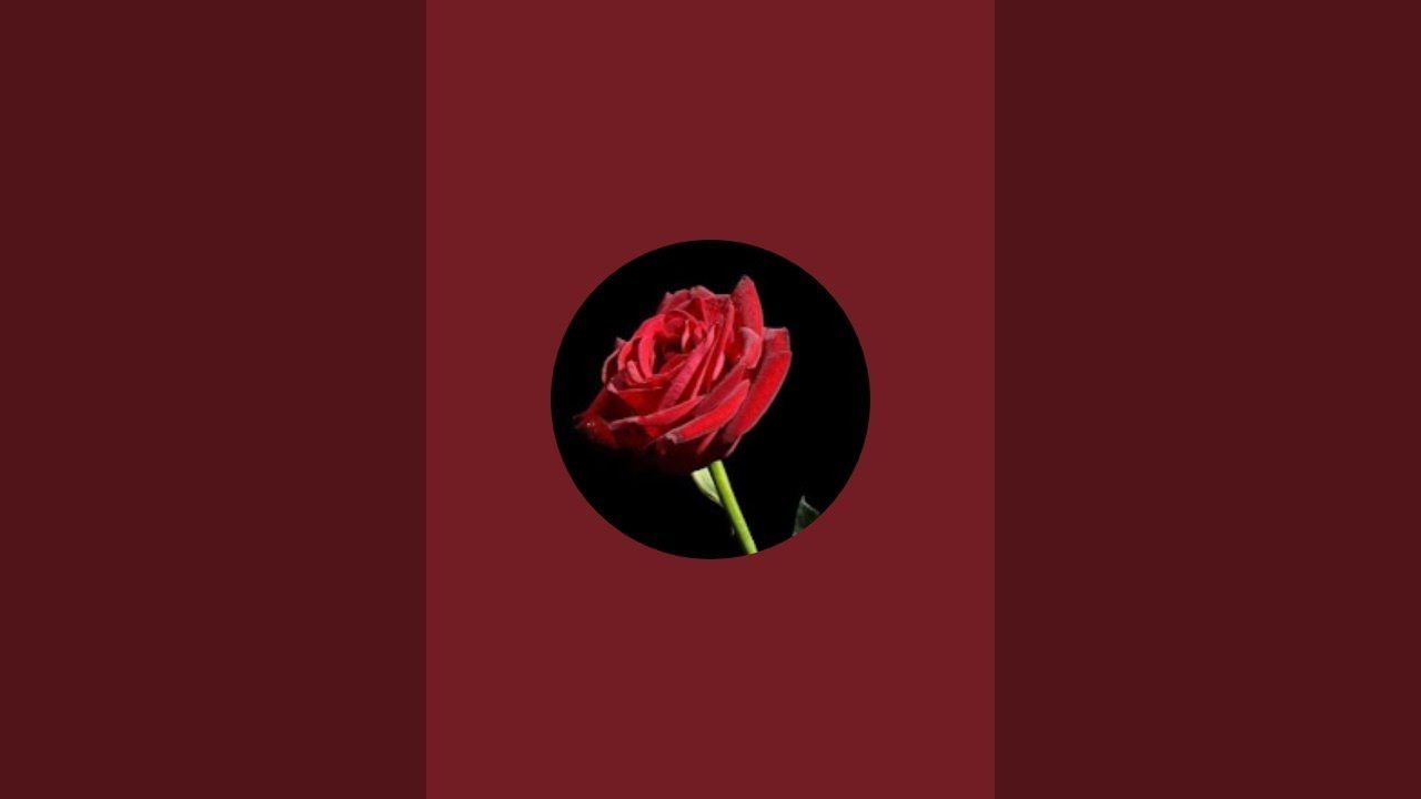 Sahal  is live! পবিত্র মাহে রমজানের শুভেচ্ছা