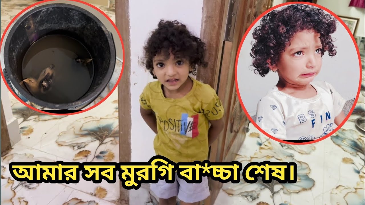 সোনা'মা সব মুরগি বা*চ্চা চুবিয়ে মে*রে ফেলেছে।@FreeMotionByRohan8 
