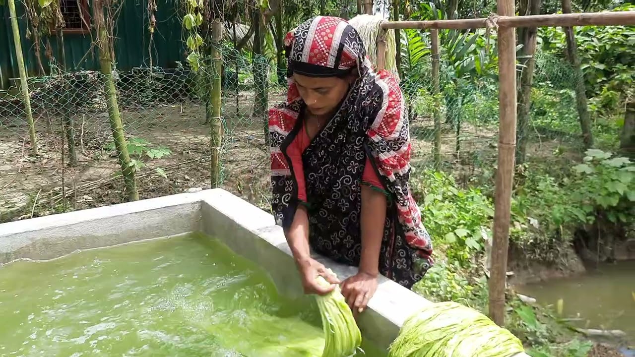 Pineapple Leaf Fiber Manufacturing, Tangri , Madhupur, Tangail