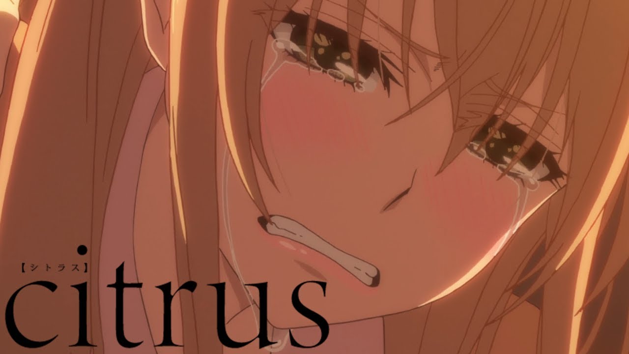 Bad Big Sister | citrus