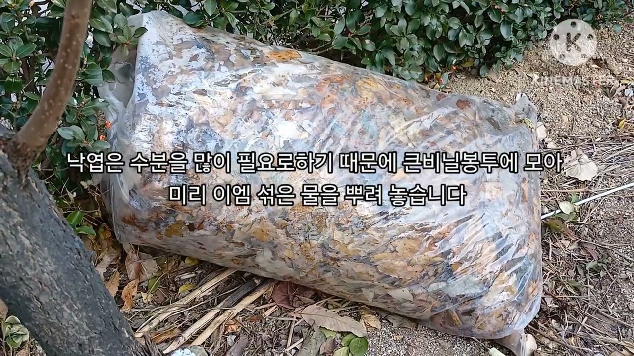 퇴비 만들시기 입니다 