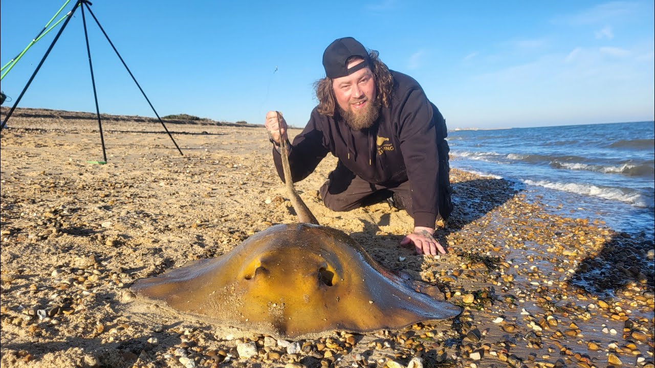 British Stingray Fishing in Essex . April 2023