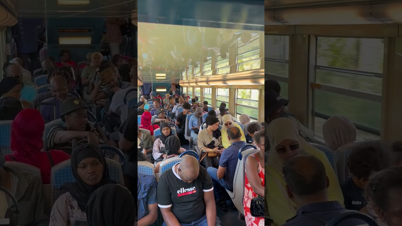 European Local Train Reality