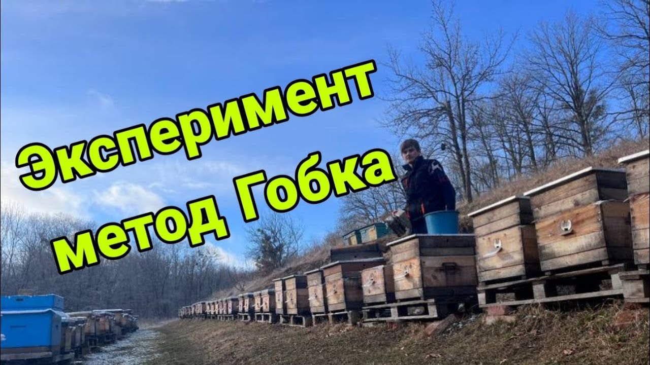 Метод Сергея Гопка на 70 семей!!!