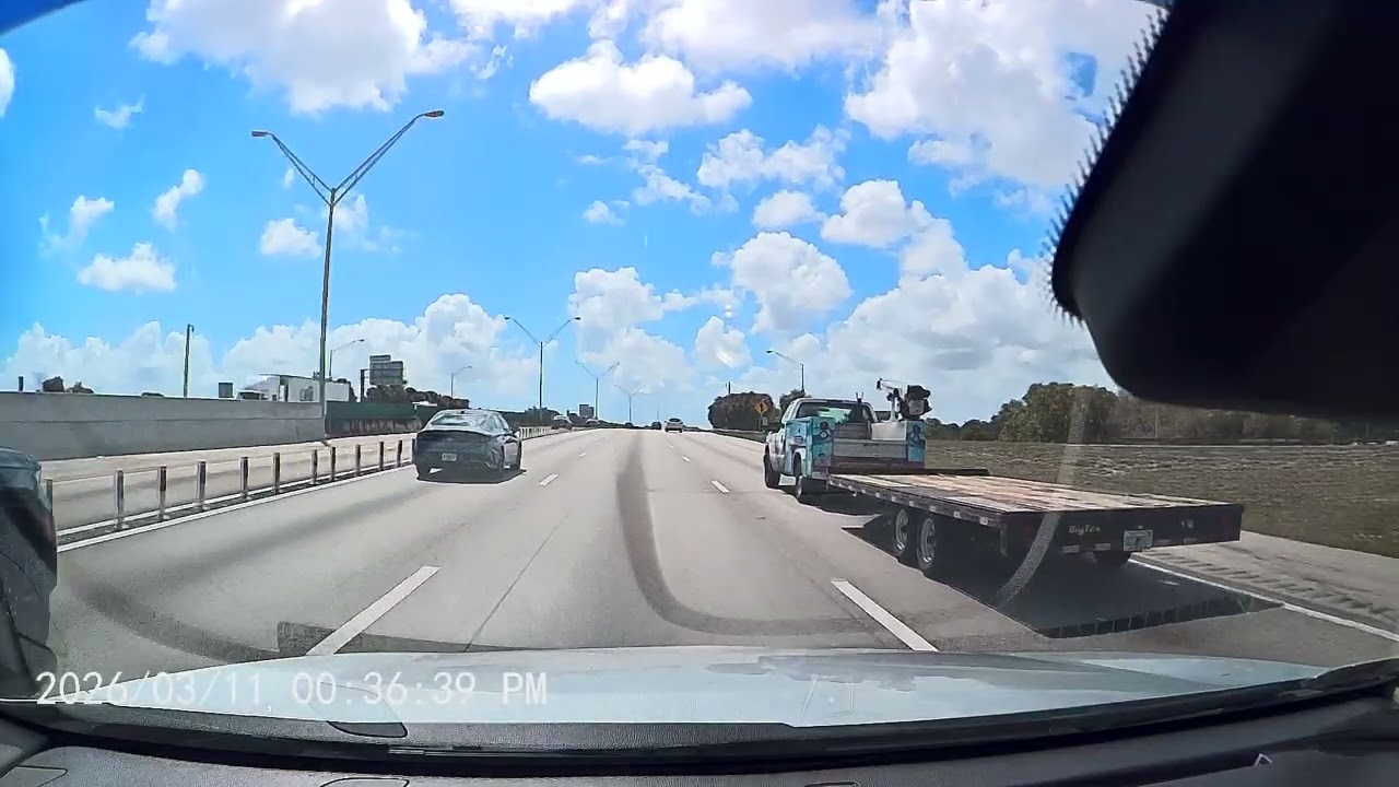 Only in Florida: The Most Unreal Highway Moment Ever Recorded