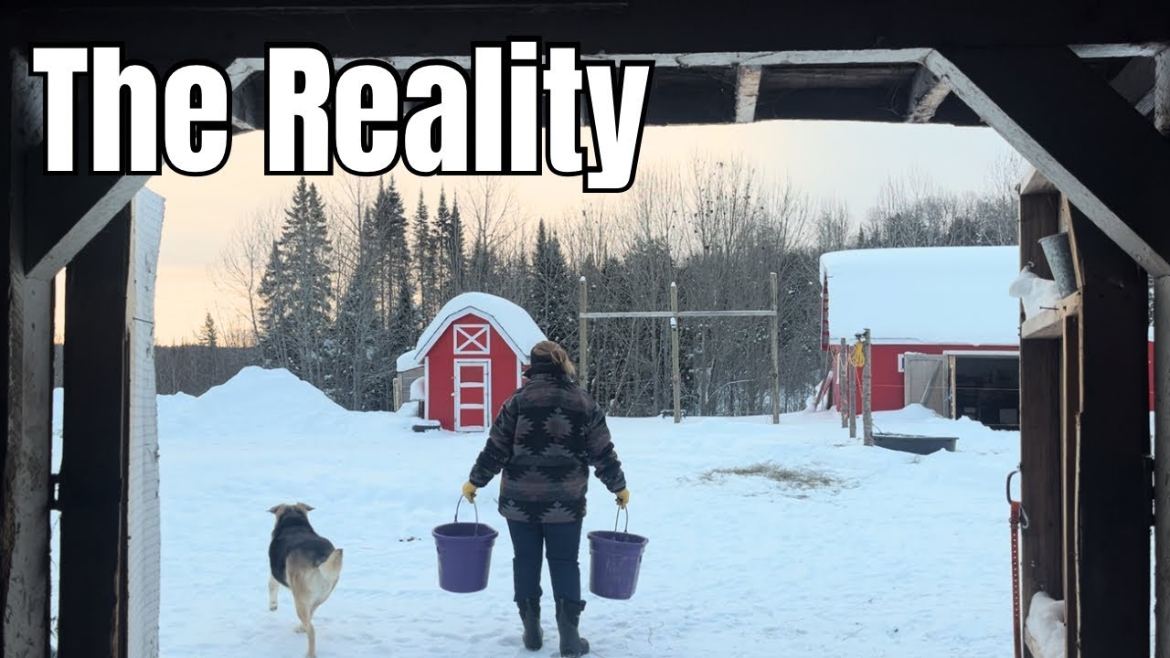 The Reality of Running a Lesson Barn (What No One Talks About)