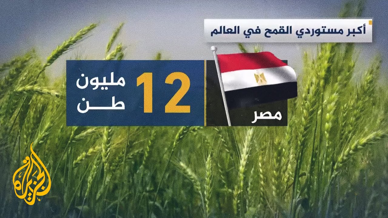 المشكلات الكبرى التي تعصف بإنتاج وتجارة القمح في العالم