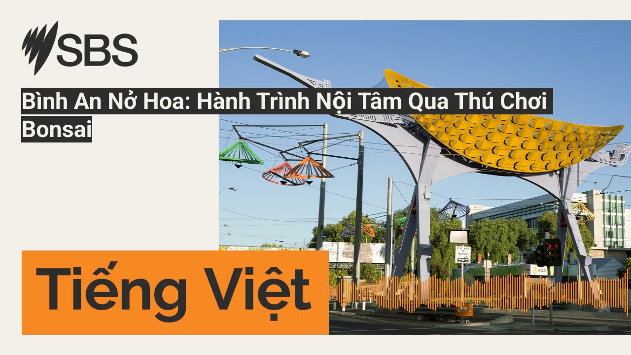 Bình An Nở Hoa: Hành Trình Nội Tâm Qua Thú Chơi Bonsai | SBS Vietnamese - SBS Việt ngữ