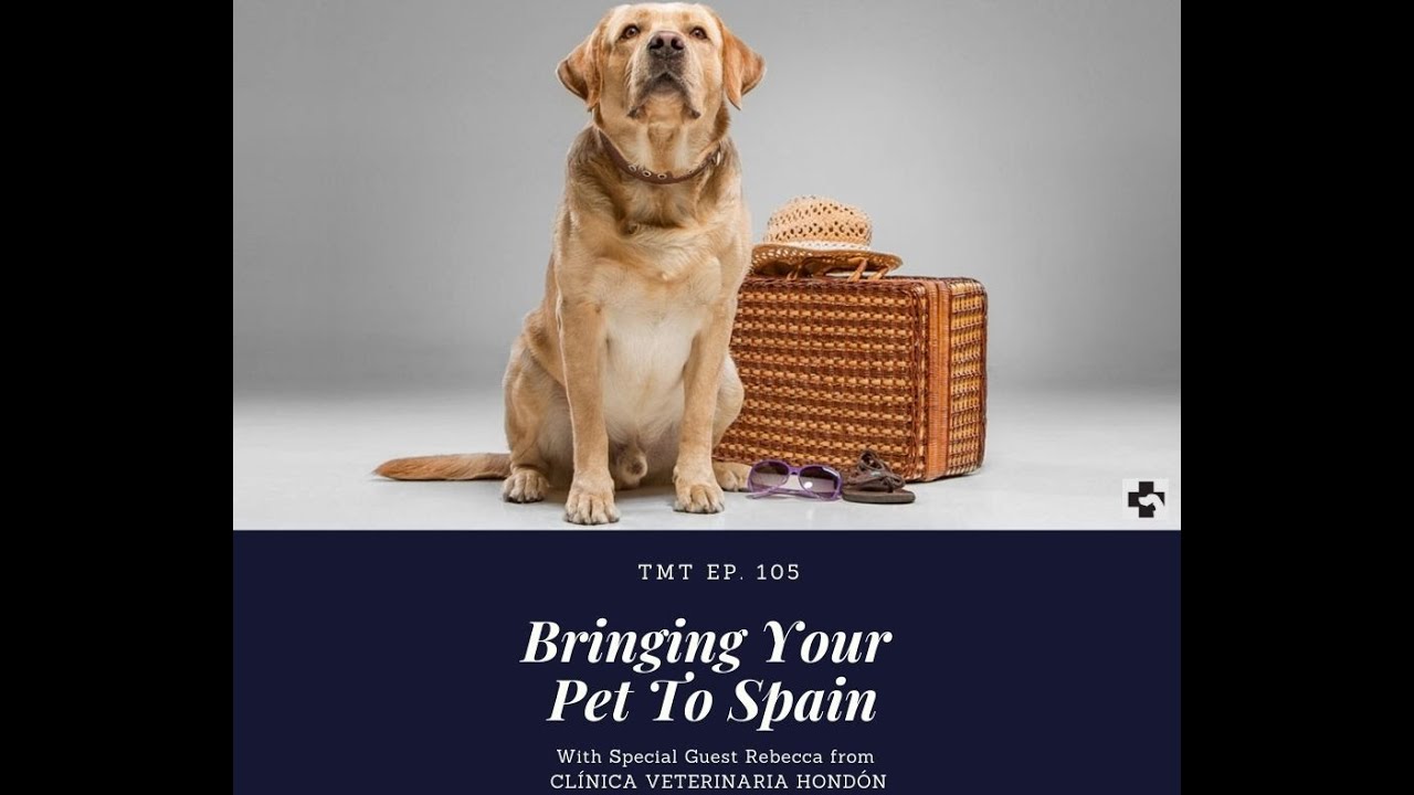 TMT Ep 105 Bringing Your Pet to Spain