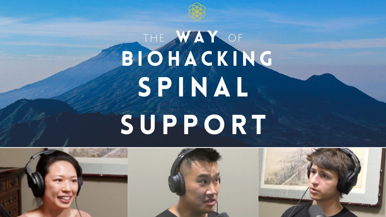 The Way Of Biohacking: Spinal Support